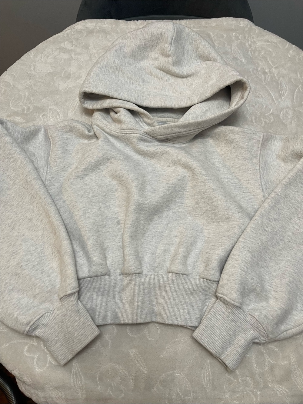 Cropped TNA Sweatshirt